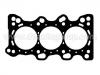 Cylinder Head Gasket:10112100