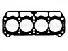 прокладка цилиндра Cylinder Head Gasket:0017507000