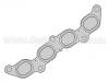 прокладка выхлопной трубаы Exhaust Manifold Gasket:1 031 021