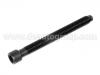 болт для крышки цилиндра Cylinder Head Bolt:058 103 385 B