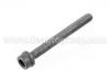 болт для крышки цилиндра Cylinder Head Bolt:022 103 384 C
