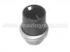 Temperature Sensor Temperature Sensor:251 919 501