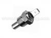 Temperature Sensor Temperature Sensor:171 919 523