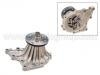 Water Pump:16100-49805