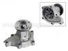 Wasserpumpe Water Pump:21010-02P25