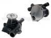 Wasserpumpe Water Pump:21010-31W26