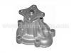 Wasserpumpe Water Pump:21010-01M00