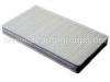 Cabin Air Filter:12489479
