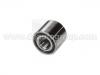 輪轂軸承 Wheel Bearing:43210-61A06