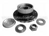 комплекс ступичного подшипника Wheel Hub Bearing:3748.41