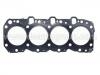 Cylinder Head Gasket:11115-67040-01
