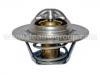 Thermostat, Kühlmittel Thermostat:21200-99B12