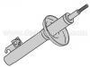 Sto?d?mpfer Shock Absorber:5 020 650