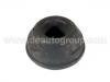 Suspension Bushing:251 407 179