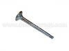 Ausla?-Ventil Exhaust Valve:048 109 611 B